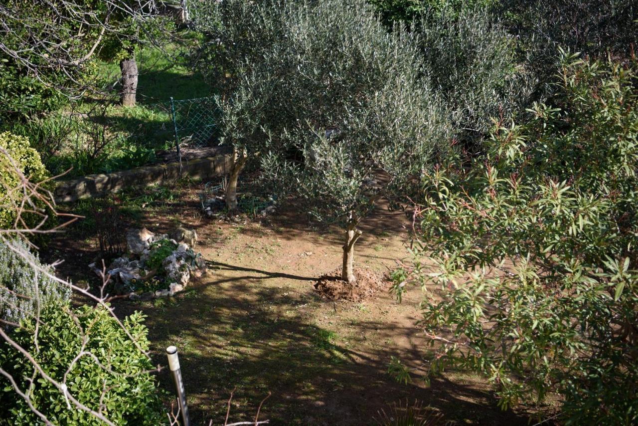 Villa Claudia Lemon Appartment Premantura Exteriér fotografie